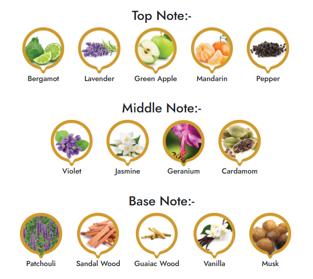 Royal Bleu |  Luxury Collection - Orientica Meraki Aveiro