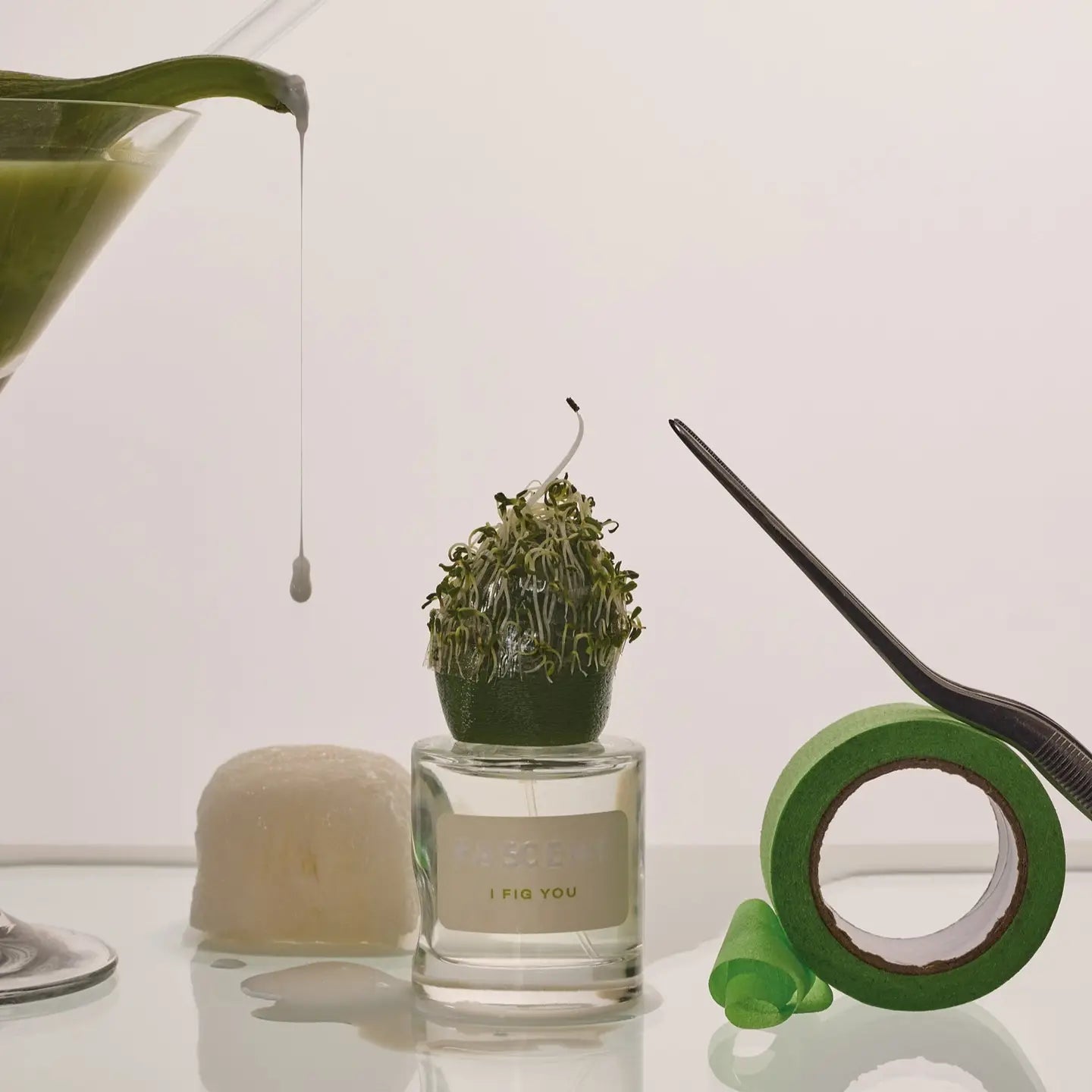 Fascent | I FIG YOU Meraki Aveiro